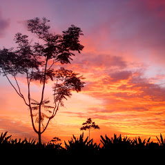 ATARDECER PEDRO VICENTINO.JPG